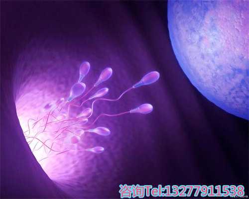 温州代孕流程的利弊剖析与心得分享