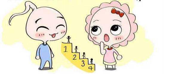 试管婴儿费用与人工授精选择指南